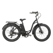 48V500W Electric Bike Bicycle Lady City Electric Bicycle
